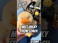 New Bag Charms From Coach: Ducky The Shearling Charm @coach #bagcharm #fashion #handbags  #duckling
