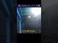 夜になると入ってくる猫