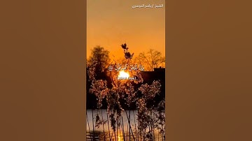 سورة الصافات من آية 161 إلى آية 171 بصوت الشيخ ياسر الدوسري♥♥