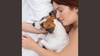 Melodic Harmony in Canine Energies