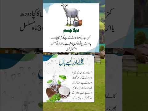 Desi Gharelu Totkay