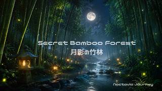 Secret Bamboo Forest | 月影の竹林 | Japanese Fantasy Ambient Music