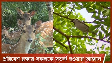 বিশ্ব পরিবেশ দিবস আজ|প্রকৃতি রুষ্ঠ হলে ভয়াবহতার সবচেয় বড় উদাহরণ করোনা ভাইরাস 5Jun.21|Environment day