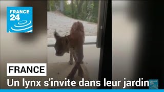 Ain : un lynx s'invite dans leur jardin • FRANCE 24