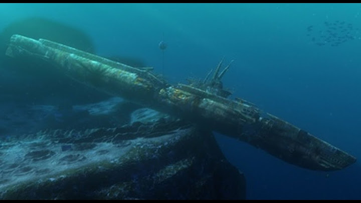 Что затонуло в этих водах? Моряки вмиг поседели от увиденного