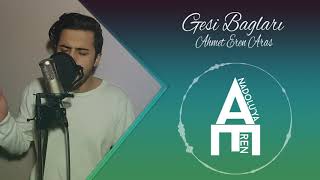 Ahmet Eren Aras - Gesi Bağları Resimi