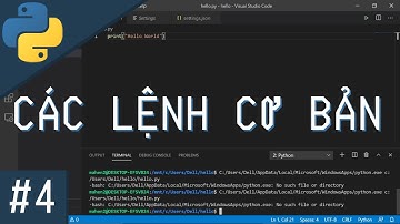 TỰ HỌC LẬP TRÌNH PYTHON BÀI 4: NHỮNG LỆNH CƠ BẢN TRONG PYTHON!