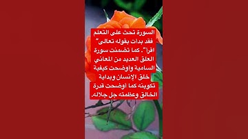 فضل سورة العلق قيل في فضل سورة العلق الكثير من الأمور ولكن أفضلها أنها أول ما نزل على الرسول( ص)✅👉