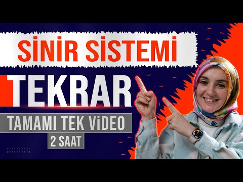 1) Sinir Sistemi FULL TEKRAR | 11. Sınıf Biyoloji | AYT Biyoloji Konu Anlatımı 1