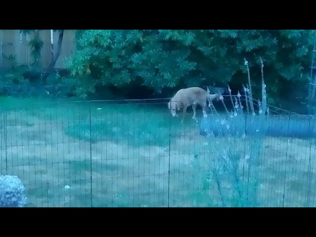 Scott Pole Barn Siletz Oregon July 30 2025