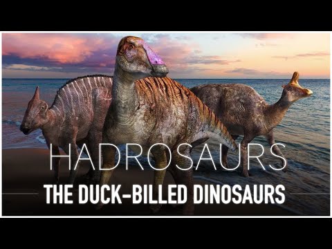 Vidéo: Que signifie hadrosaurus en grec ?