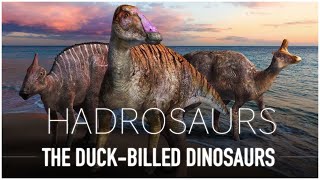 Hadrosaurs: The DuckBilled Dino’s | Dinosaur Documentary
