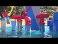 Cheese Ball Chick on Wipeout