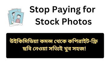 How to Use Wikimedia Commons Free Image