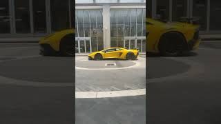 Cue Banks - Dreams To Daily Reality.