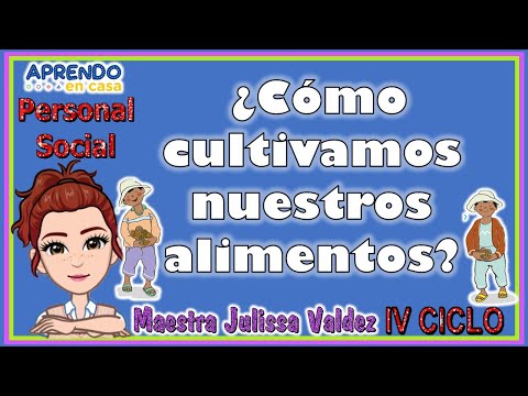 Video: Cultivamos Gladiolos. Parte 4