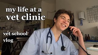 I ended 2025 in a vet clinic | Vet School Vlog
