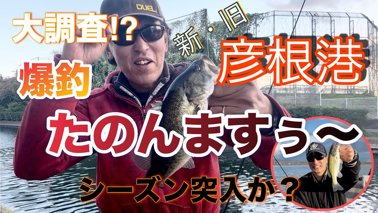 新・旧彦根港【ブラックバス釣り】　大調査‼︎パラダイスは復活してるのか？