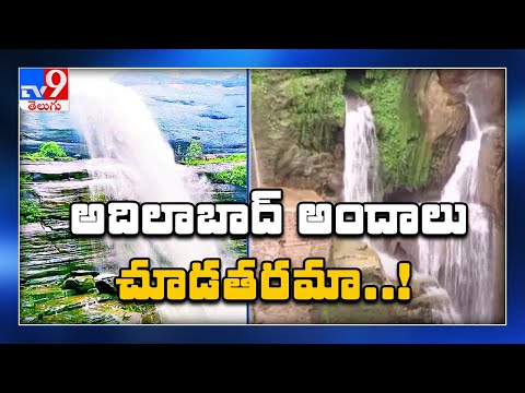 పచ్చని అడవులు, జాలు వారే జలసిరులతో కనువిందు : Adilabad - TV9