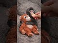 Just too cute!!! 🐒 banana 🍌 #cute #animals #monkey #banana