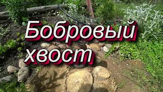 БОБРОВЫЙ ХВОСТ