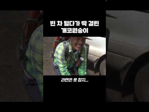 낚시 여행중 차량 절도범 현장검거... #shorts