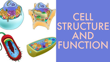CELL STRUCTURE AND FUNCTION: UNDERSTANDING THE BUILDING BLOCKS OF LIFE