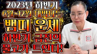 [2023년 하반기 뱀띠운세] 6월~12월 하반기 대박나는뱀띠 운세?! 금전과 재물이 들어온다!! 65년생 …