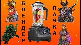 Raid : Блендер пачка на арене