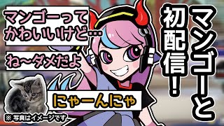 [Selly/Cutout] Mango Meow Meow Collection