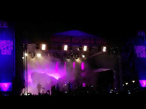 Halott pénz koncert