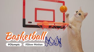 Cat NBA #1 Pick  Olympurk Games (Cat Olympic Games)