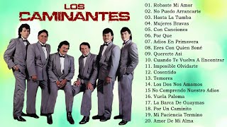 Los Caminantes 20 Exitos - Romanticas Del Ayer - Mix Musica Romanticas