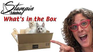 Unboxing the 2026 September-December Catalog & September Online Exclusives