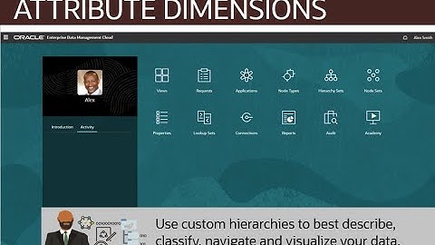 Overview: Attribute Dimensions in Enterprise Data Management