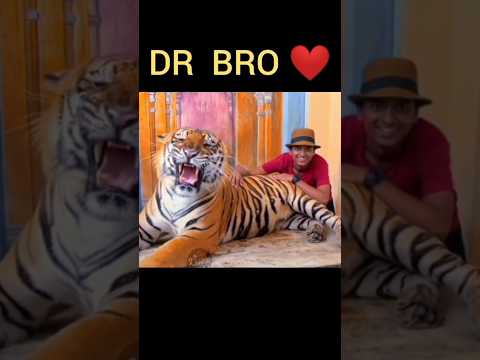 Tiger kingdom thailand