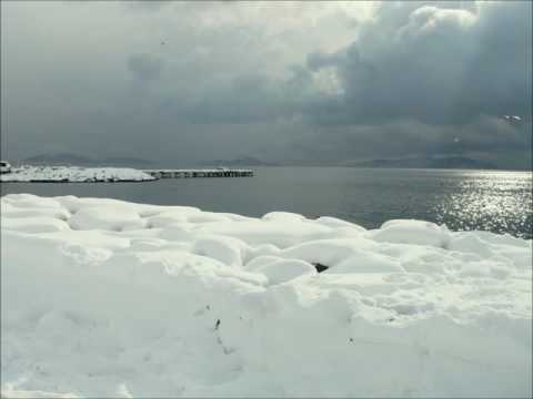 Oğuzhan Balcı -