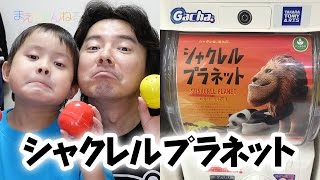みんなシャクレ(* ̄∇ ̄*) カプセルトイ シャクレル プラネット SHAKUREL PLANET カプセルトイ 検索動画18 みんなシャクレ(* ̄∇ ̄*) カプセルトイ シャクレル プラネット SHAKUREL PLANET カプセルトイ 検索動画 18