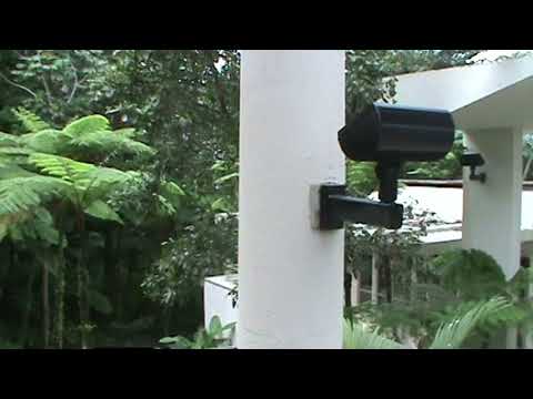 El Yunque Visitor Center