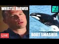 🔴 New UFO &quot;Evidence&quot; and Boat-Sinking Killer Whales | [OFFICE HOURS] Podcast 111