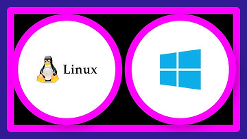 What are the differences between Linux and Windows .txt files (Unicode encoding)?