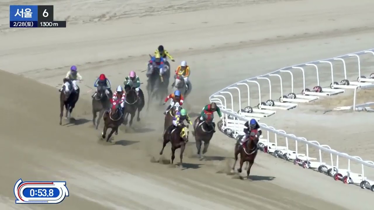 아.인기1위.장추열 졸전.배당 꽝.삼복승식: ④⑥⑨ 864.3