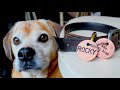 How to Make copper dog tags