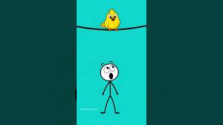 Why Don't Birds Get Electrocuted on Power Lines? ⚡🐦 The Science Explained