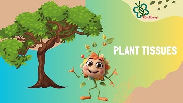 Unlocking the Secrets of Plant Tissues: The Building Blocks of Life