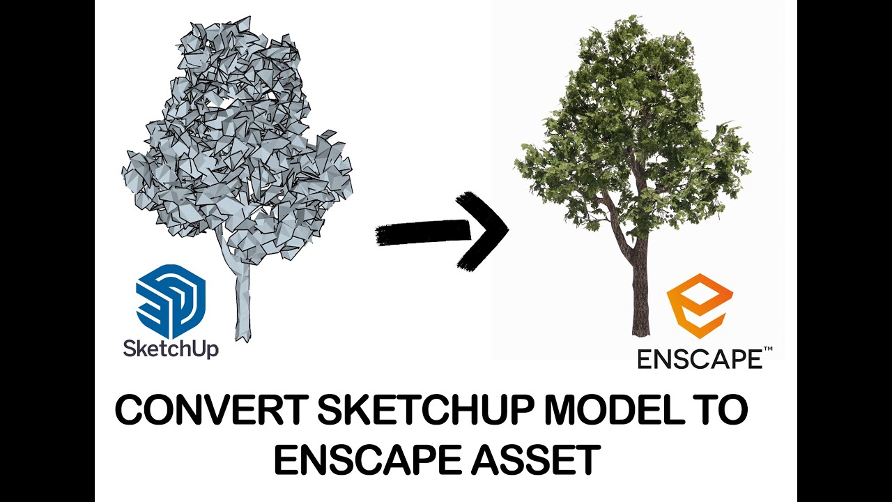 Convert Baum tree SketchUp Model to Enscape Asset - YouTube