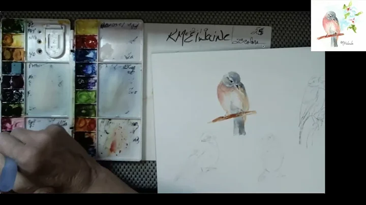 How to watercolor paint a female Eastern Bluebird ...