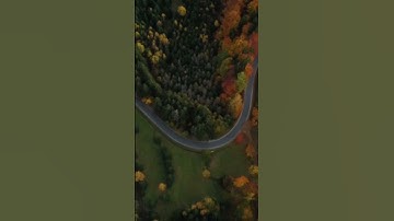 سورة البقرة محمد الفقيه ( سورة البقرة كاملة ومكتوبة للقارئ الشيخ محمد الفقيه) _ القارئ محمد الفقيه