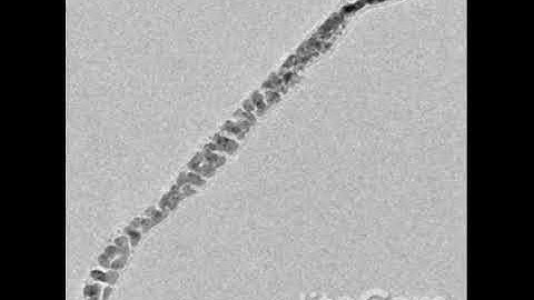Synthesis of carbon nanotube inside Transmission Electron microscope