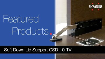 Soft Down Lid Support CSD-10-TV